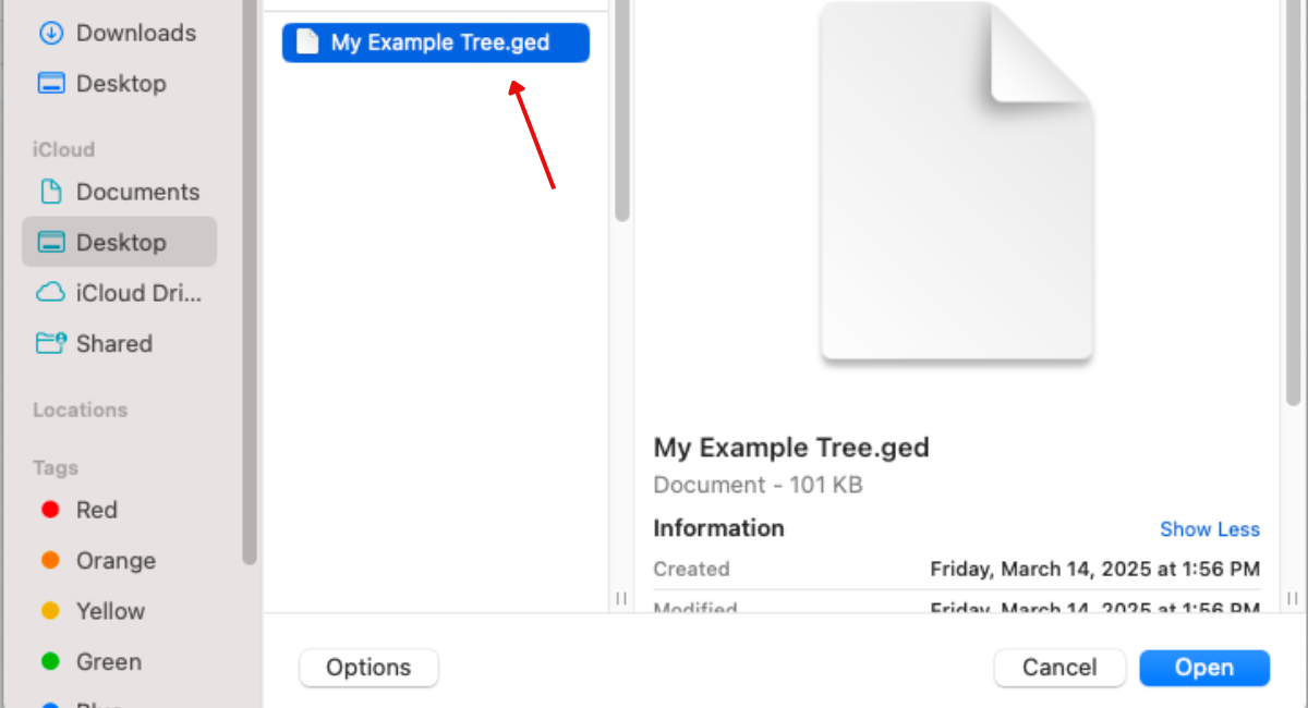 How to Turn Your GEDCOM File into a Stunning Print
