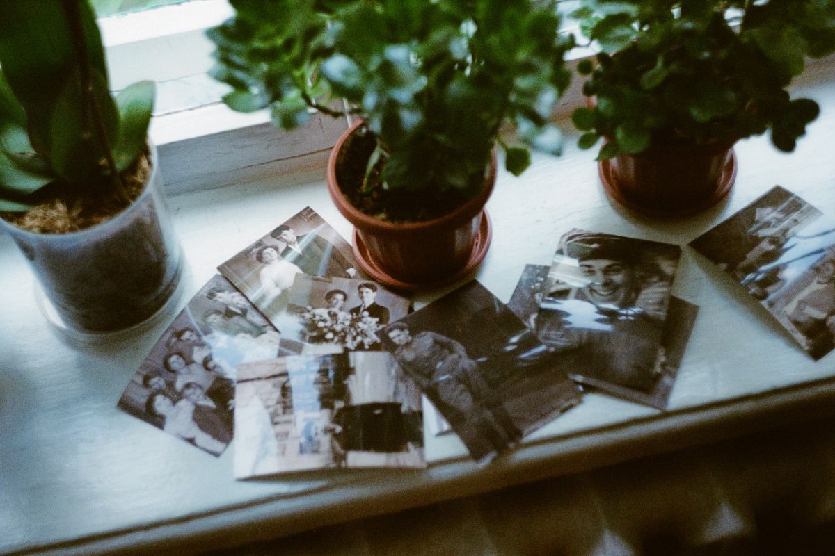 The Power of Asking: How Family Stories Connect Us to Who We Are
