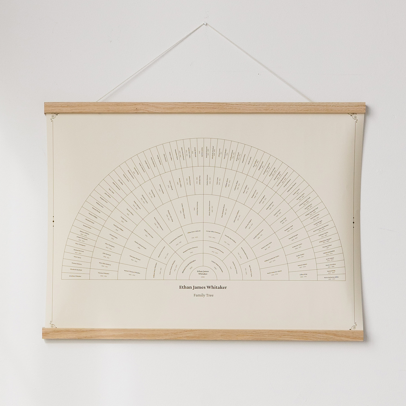 Fan Posters Are Here! A Beautiful New Way to Display Your Family Tree